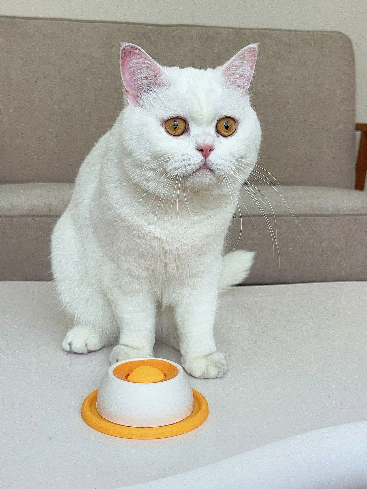 Anxiety Relief Roll-On Lick Bowl (For Dogs)