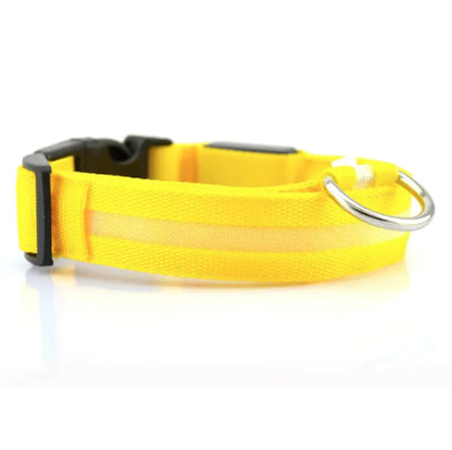 Glowing LED Safety Collar