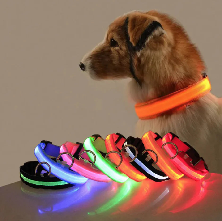 Glowing LED Safety Collar