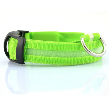 Glowing LED Safety Collar
