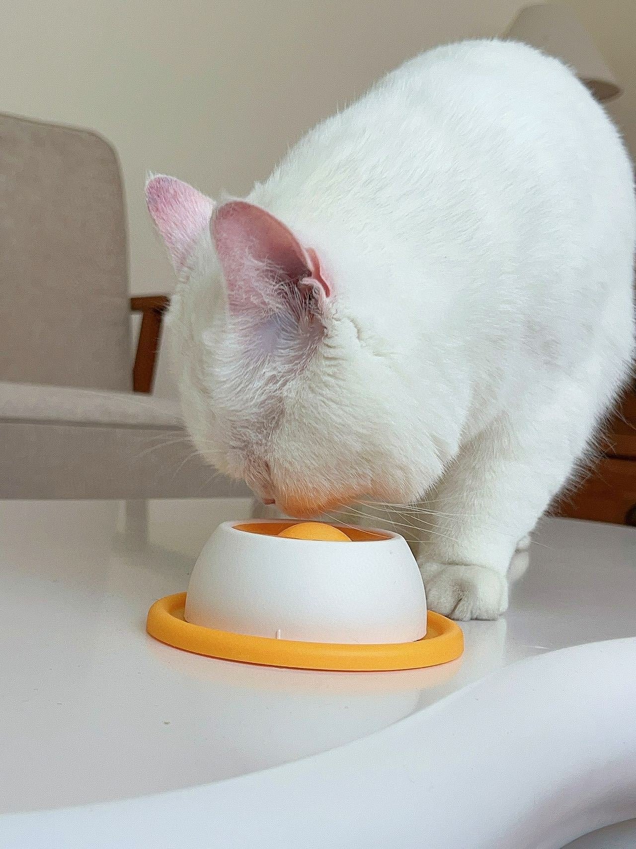 Anxiety Relief Roll-On Lick Bowl (For Dogs)