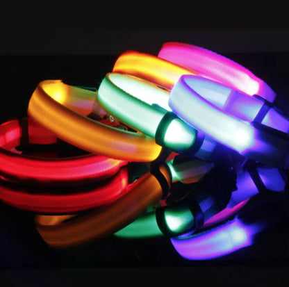 Glowing LED Safety Collar