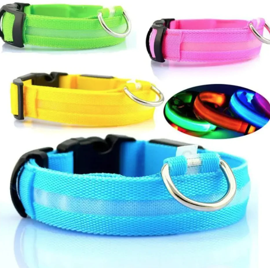Glowing LED Safety Collar