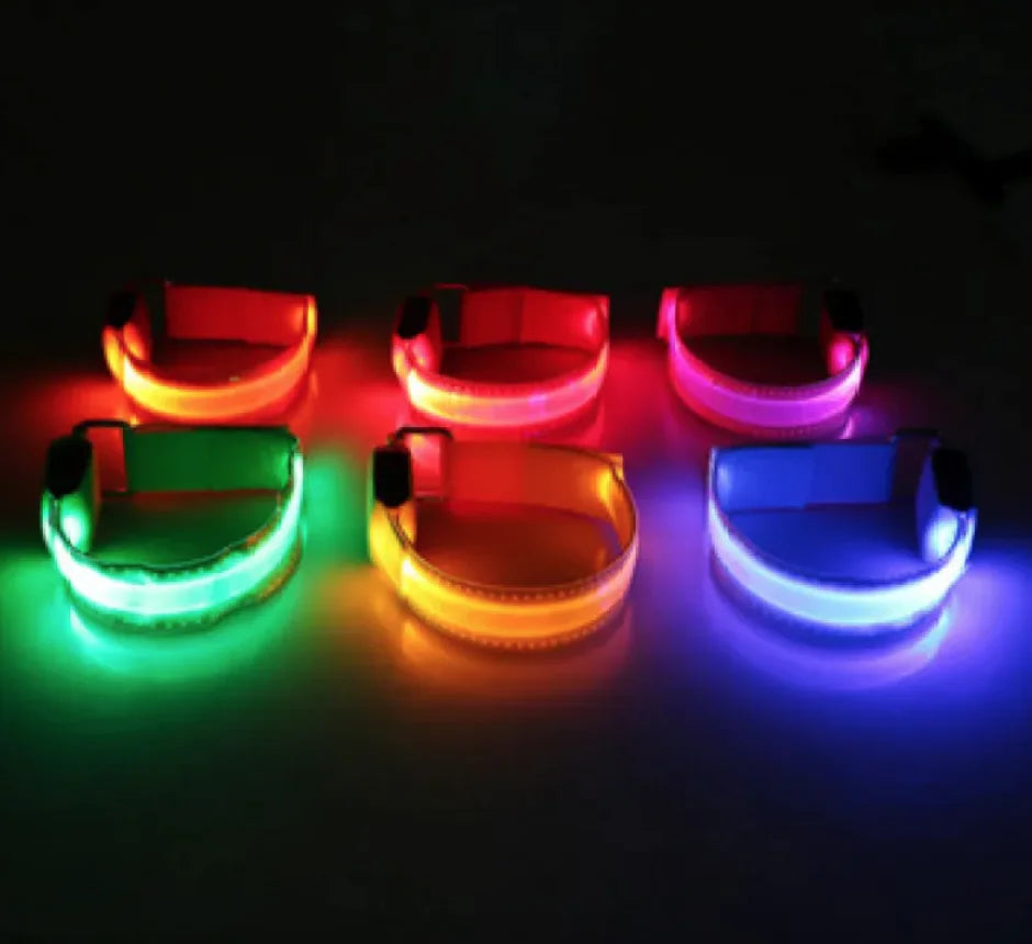 Glowing LED Safety Collar